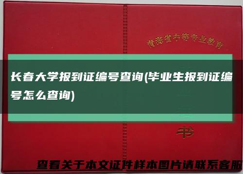 长春大学报到证编号查询(毕业生报到证编号怎么查询)缩略图