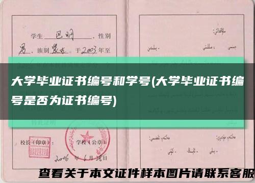 大学毕业证书编号和学号(大学毕业证书编号是否为证书编号)缩略图