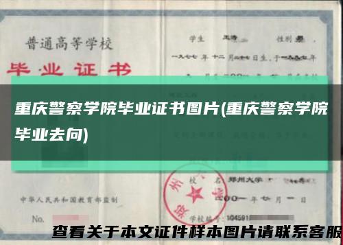 重庆警察学院毕业证书图片(重庆警察学院毕业去向)缩略图