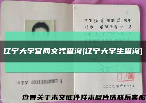 辽宁大学官网文凭查询(辽宁大学生查询)缩略图