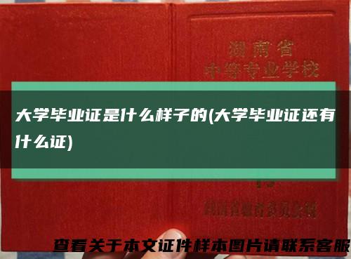 大学毕业证是什么样子的(大学毕业证还有什么证)缩略图