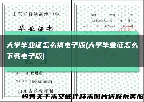 大学毕业证怎么搞电子版(大学毕业证怎么下载电子版)缩略图
