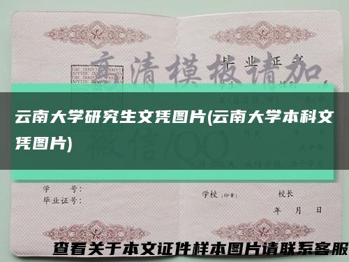 云南大学研究生文凭图片(云南大学本科文凭图片)缩略图
