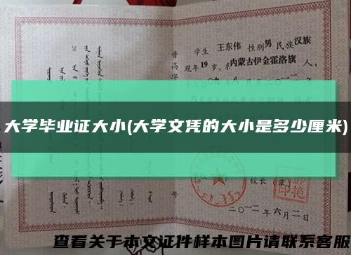 大学毕业证大小(大学文凭的大小是多少厘米)缩略图