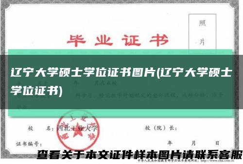 辽宁大学硕士学位证书图片(辽宁大学硕士学位证书)缩略图
