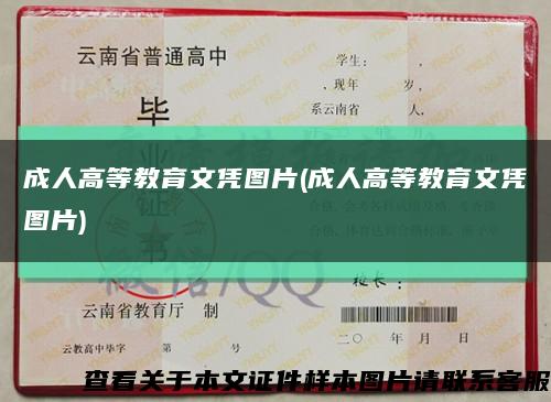 成人高等教育文凭图片(成人高等教育文凭图片)缩略图