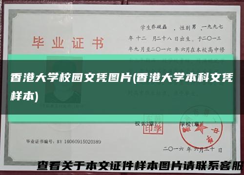 香港大学校园文凭图片(香港大学本科文凭样本)缩略图
