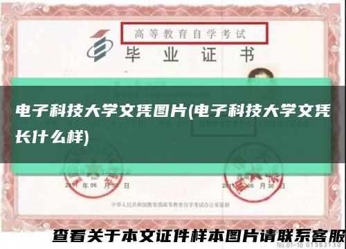 电子科技大学文凭图片(电子科技大学文凭长什么样)缩略图