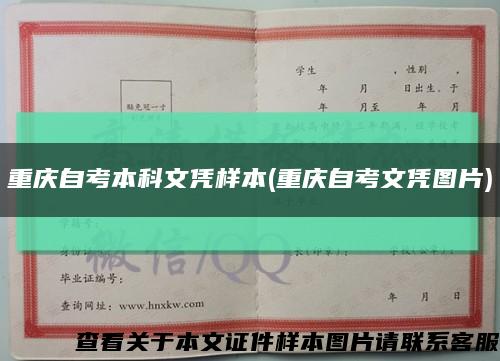 重庆自考本科文凭样本(重庆自考文凭图片)缩略图