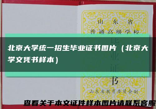 北京大学统一招生毕业证书图片（北京大学文凭书样本）缩略图