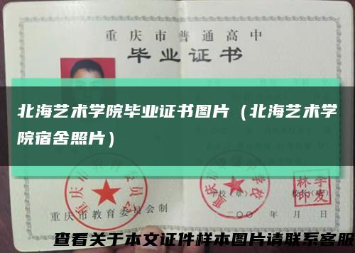 北海艺术学院毕业证书图片（北海艺术学院宿舍照片）缩略图