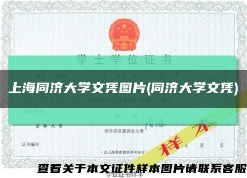 上海同济大学文凭图片(同济大学文凭)缩略图