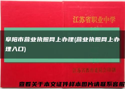 阜阳市营业执照网上办理(营业执照网上办理入口)缩略图
