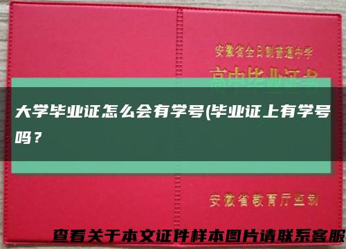 大学毕业证怎么会有学号(毕业证上有学号吗？缩略图