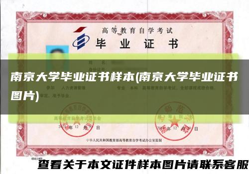 南京大学毕业证书样本(南京大学毕业证书图片)缩略图