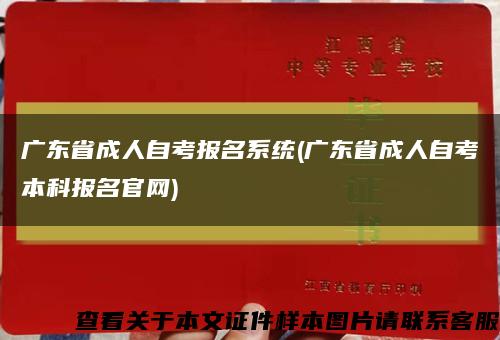 广东省成人自考报名系统(广东省成人自考本科报名官网)缩略图