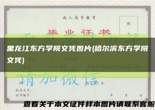黑龙江东方学院文凭图片(哈尔滨东方学院文凭)缩略图
