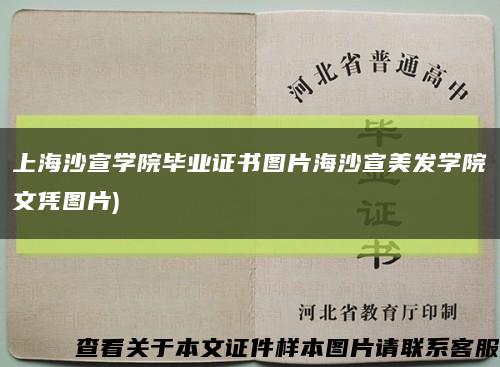 上海沙宣学院毕业证书图片海沙宣美发学院文凭图片)缩略图