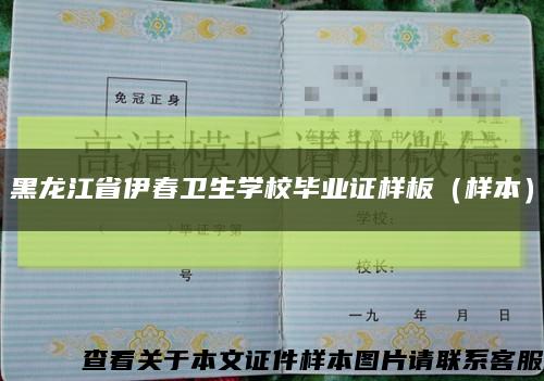 黑龙江省伊春卫生学校毕业证样板（样本）缩略图