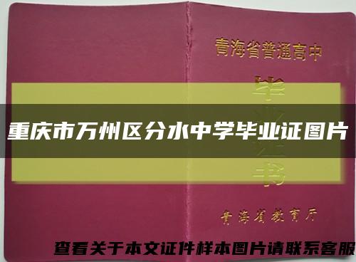 重庆市万州区分水中学毕业证图片缩略图