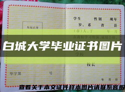 白城大学毕业证书图片缩略图