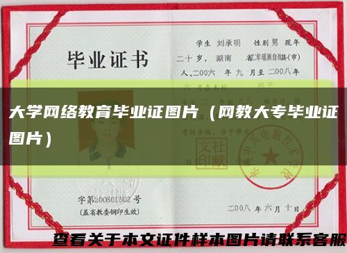 大学网络教育毕业证图片（网教大专毕业证图片）缩略图