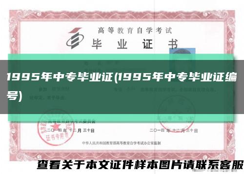 1995年中专毕业证(1995年中专毕业证编号)缩略图