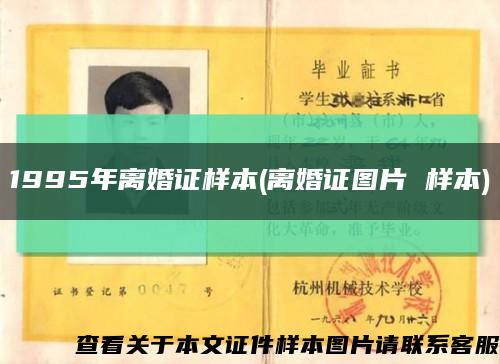 1995年离婚证样本(离婚证图片 样本)缩略图