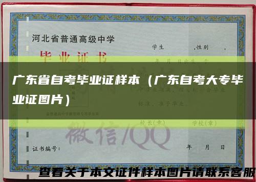 广东省自考毕业证样本（广东自考大专毕业证图片）缩略图