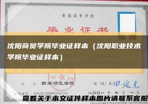 沈阳商贸学院毕业证样本（沈阳职业技术学院毕业证样本）缩略图