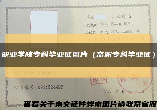 职业学院专科毕业证图片（高职专科毕业证）缩略图