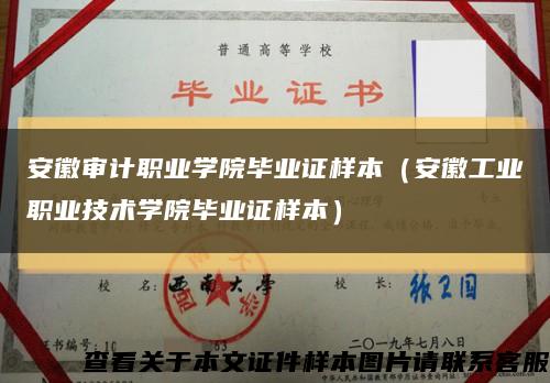 安徽审计职业学院毕业证样本（安徽工业职业技术学院毕业证样本）缩略图