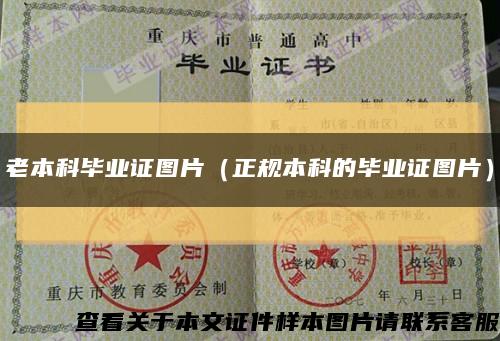 老本科毕业证图片（正规本科的毕业证图片）缩略图