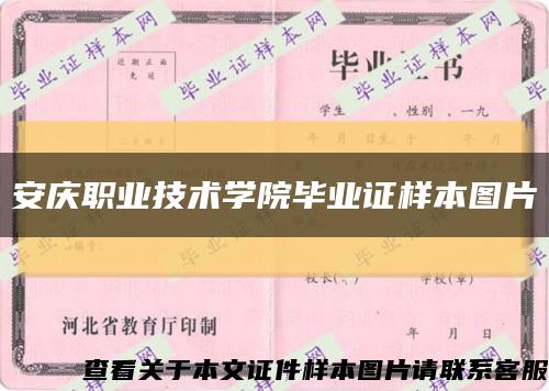 安庆职业技术学院毕业证样本图片缩略图