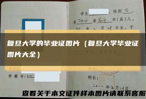 复旦大学的毕业证图片（复旦大学毕业证图片大全）缩略图