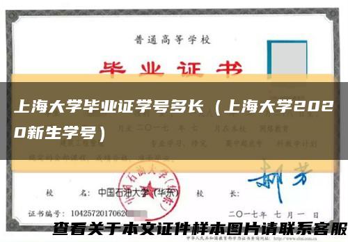 上海大学毕业证学号多长（上海大学2020新生学号）缩略图