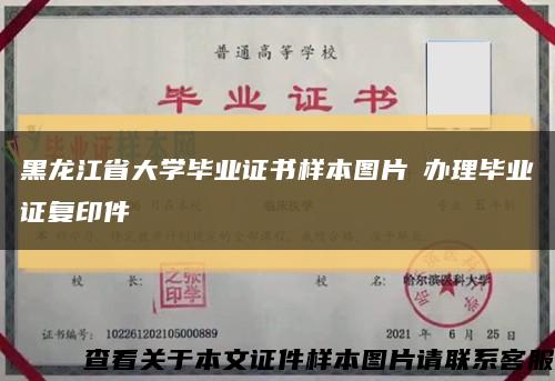 黑龙江省大学毕业证书样本图片​办理毕业证复印件缩略图