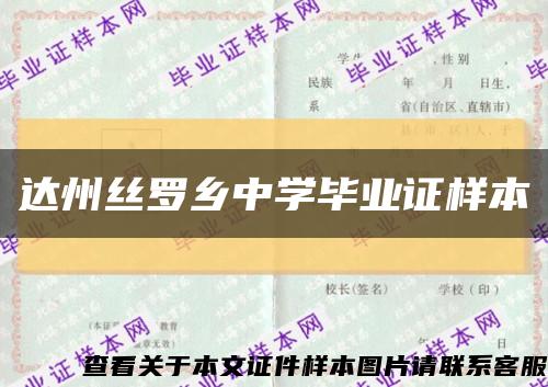 达州丝罗乡中学毕业证样本缩略图