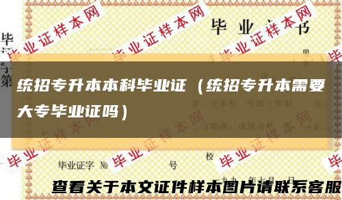 统招专升本本科毕业证（统招专升本需要大专毕业证吗）缩略图
