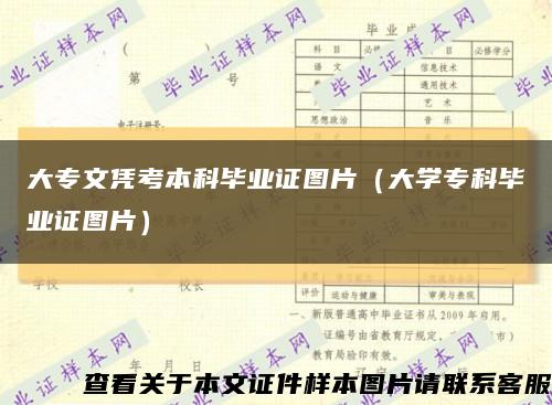 大专文凭考本科毕业证图片（大学专科毕业证图片）缩略图