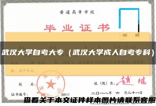 武汉大学自考大专（武汉大学成人自考专科）缩略图
