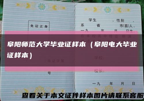 阜阳师范大学毕业证样本（阜阳电大毕业证样本）缩略图