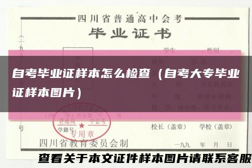 自考毕业证样本怎么检查（自考大专毕业证样本图片）缩略图