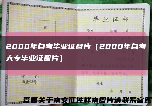 2000年自考毕业证图片（2000年自考大专毕业证图片）缩略图