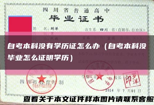 自考本科没有学历证怎么办（自考本科没毕业怎么证明学历）缩略图