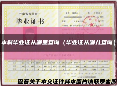 本科毕业证从哪里查询（毕业证从哪儿查询）缩略图