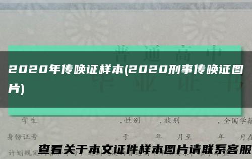 2020年传唤证样本(2020刑事传唤证图片)缩略图