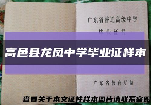 高邑县龙凤中学毕业证样本缩略图