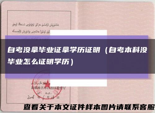 自考没拿毕业证拿学历证明（自考本科没毕业怎么证明学历）缩略图