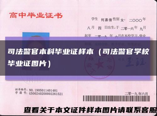 司法警官本科毕业证样本（司法警官学校毕业证图片）缩略图